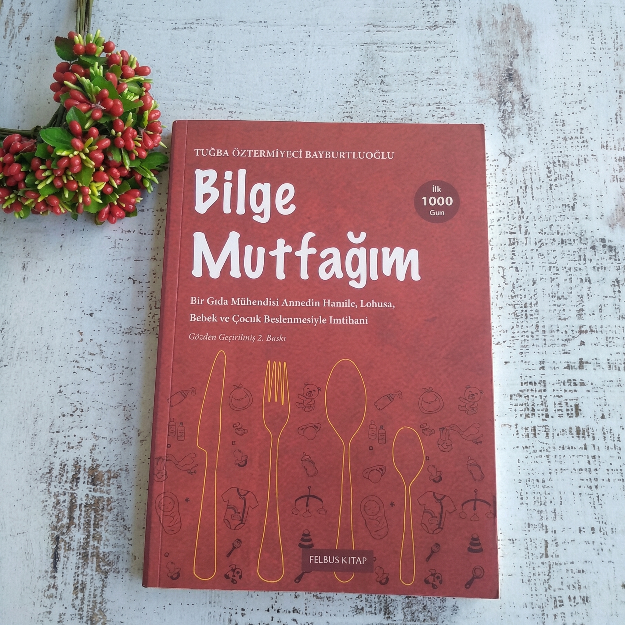 Bilge Mutfağım II: Gıda Mühendisi Anneden Kapsamlı Beslenme Rehberi (Gözden Geçirilmiş 2. Baskı)